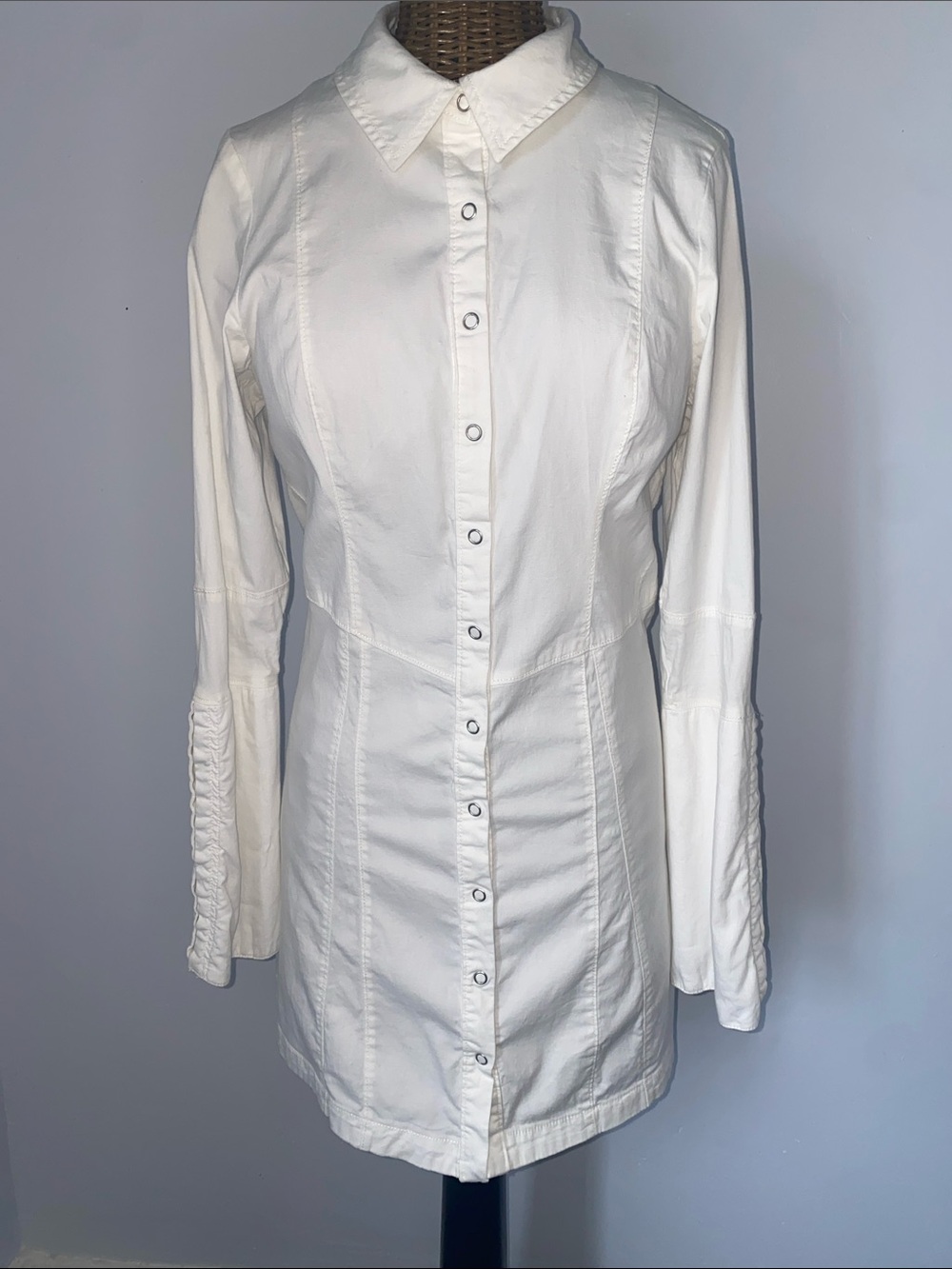 Free People Long Sleeve Button-Up Tunic Dress in White